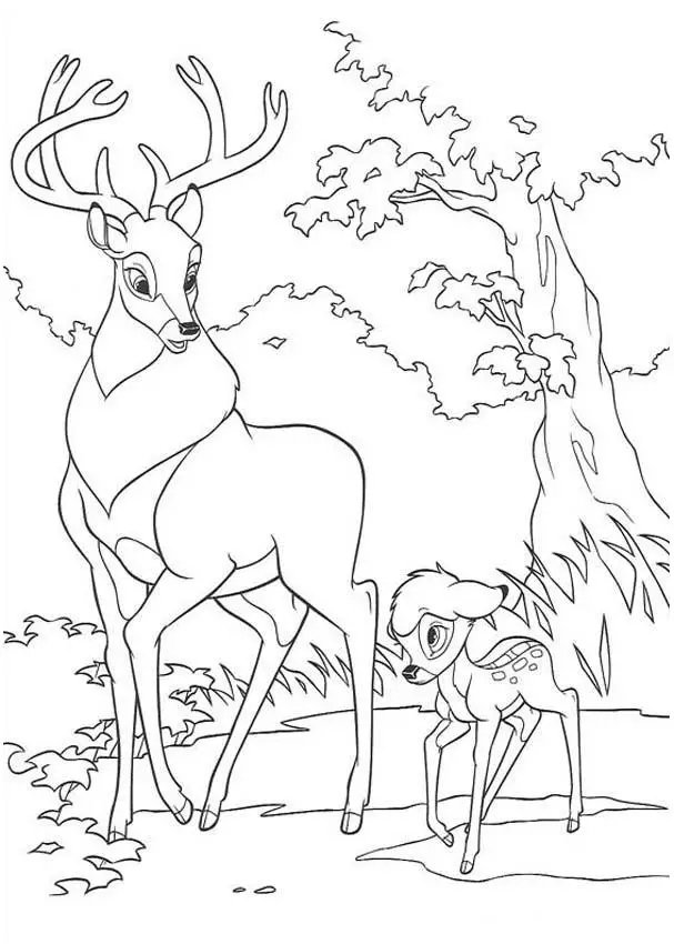 Bambi Coloring 12