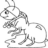 Ant Coloring 15