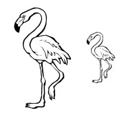 Flamingo Coloring 1