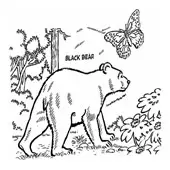 Bear Coloring Page 5