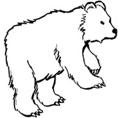 Bear Coloring Page 7
