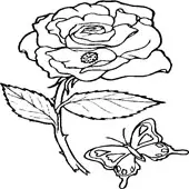 Flower Coloring Page 11